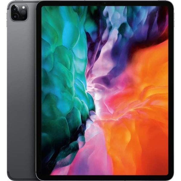 Apple - 12,9" iPad Pro - WiFi 256Go - Gris Sidéral