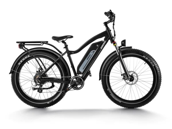 Vélo Electrique à Pneus Larges dynamique